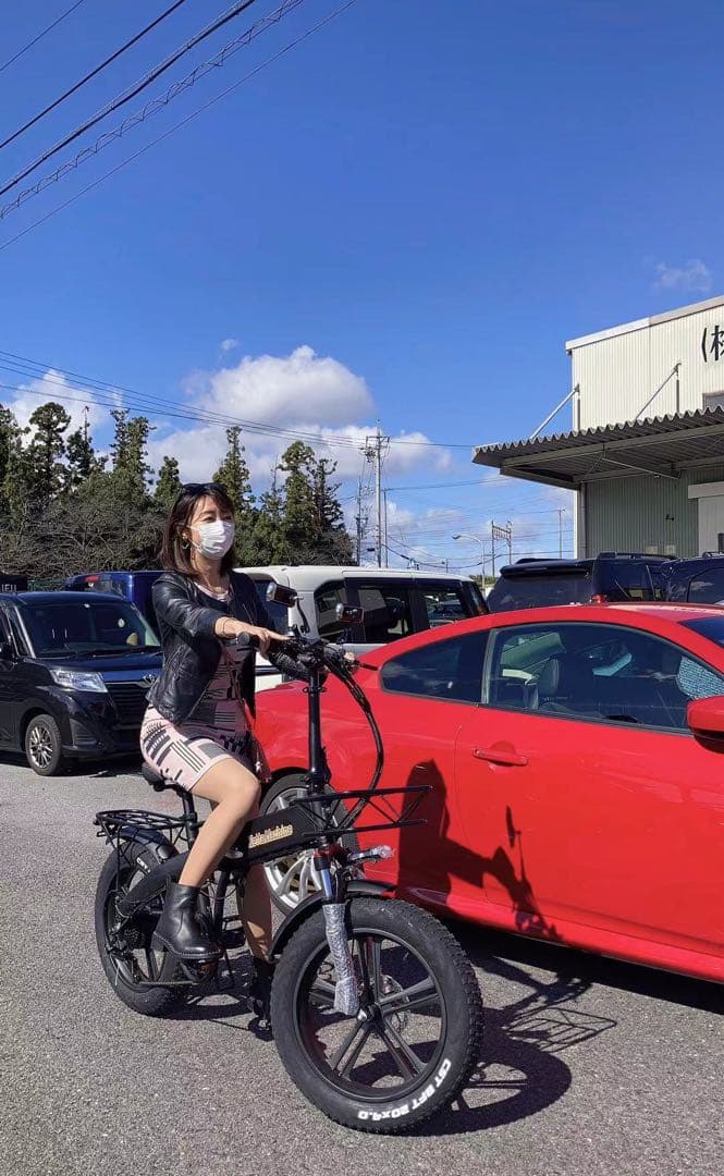 【11月限定値引販売】MATE BIKE系電動自転車