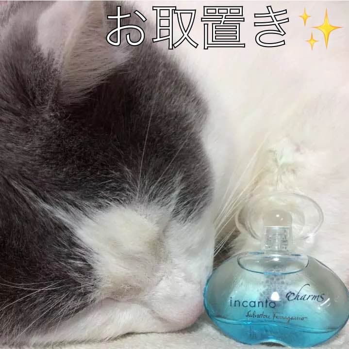 【お取り置き品】フェラガモ  インカント チャーム ５ml