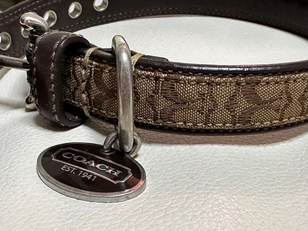 coach 犬首輪、リードセット