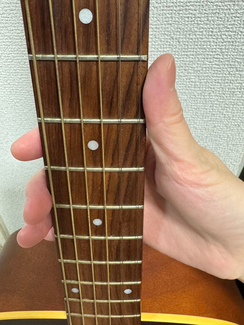 Art & Lutherie cedar アコースティックギター ハードケース付