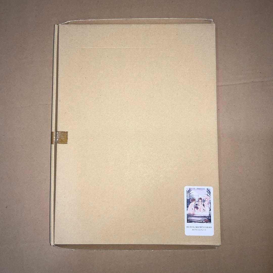 冴えない彼女の育てかた　BD-BOX とらのあな特典　アクリルプレート