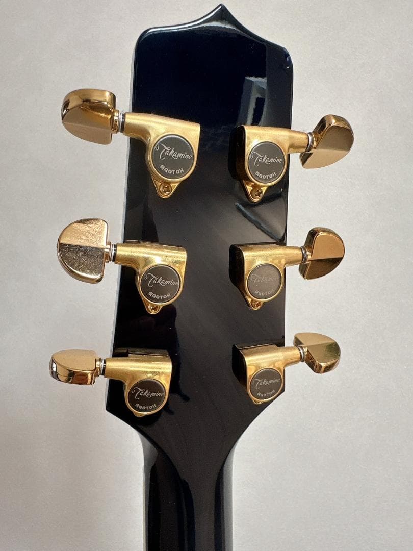 Takamine DMP541 DBS エレアコ 希少カラー ハードケース付