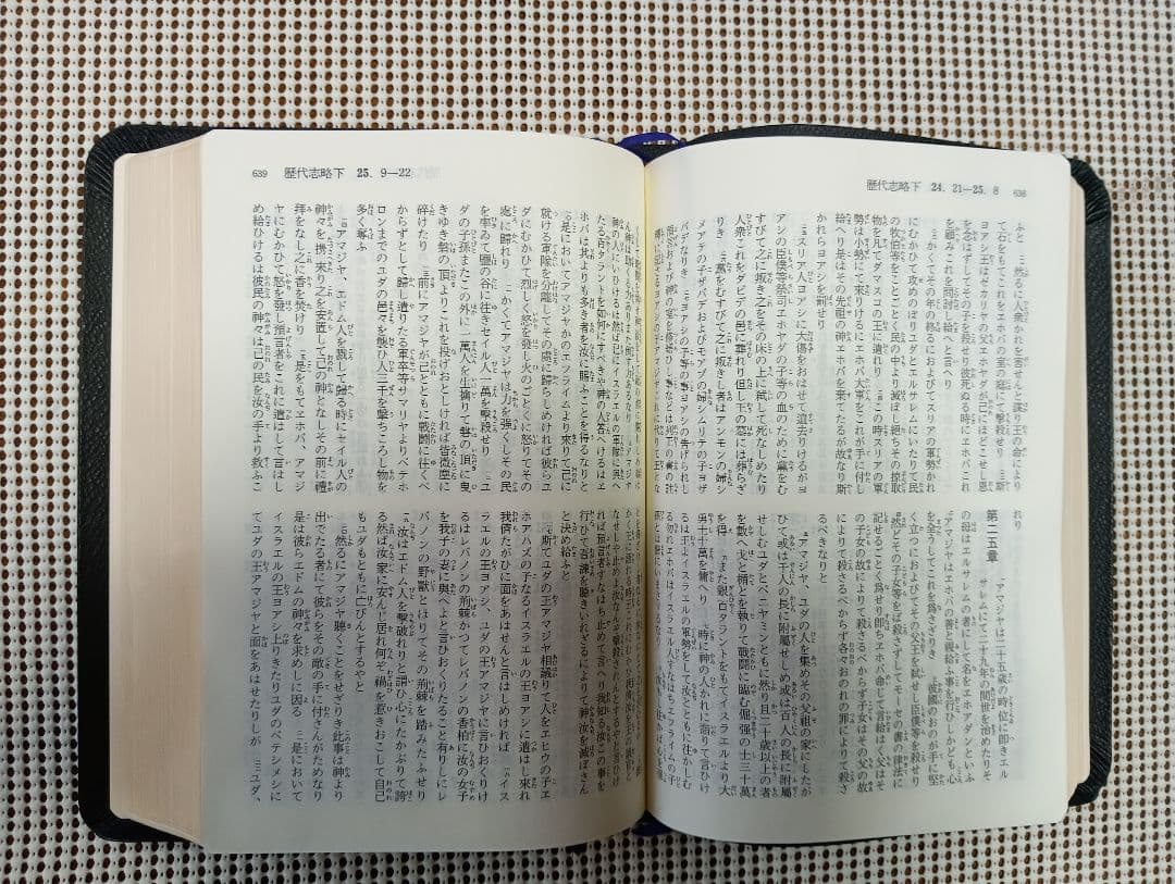 ■大型聖書 舊新約聖書 文語訳 革装 三方金　JL69S