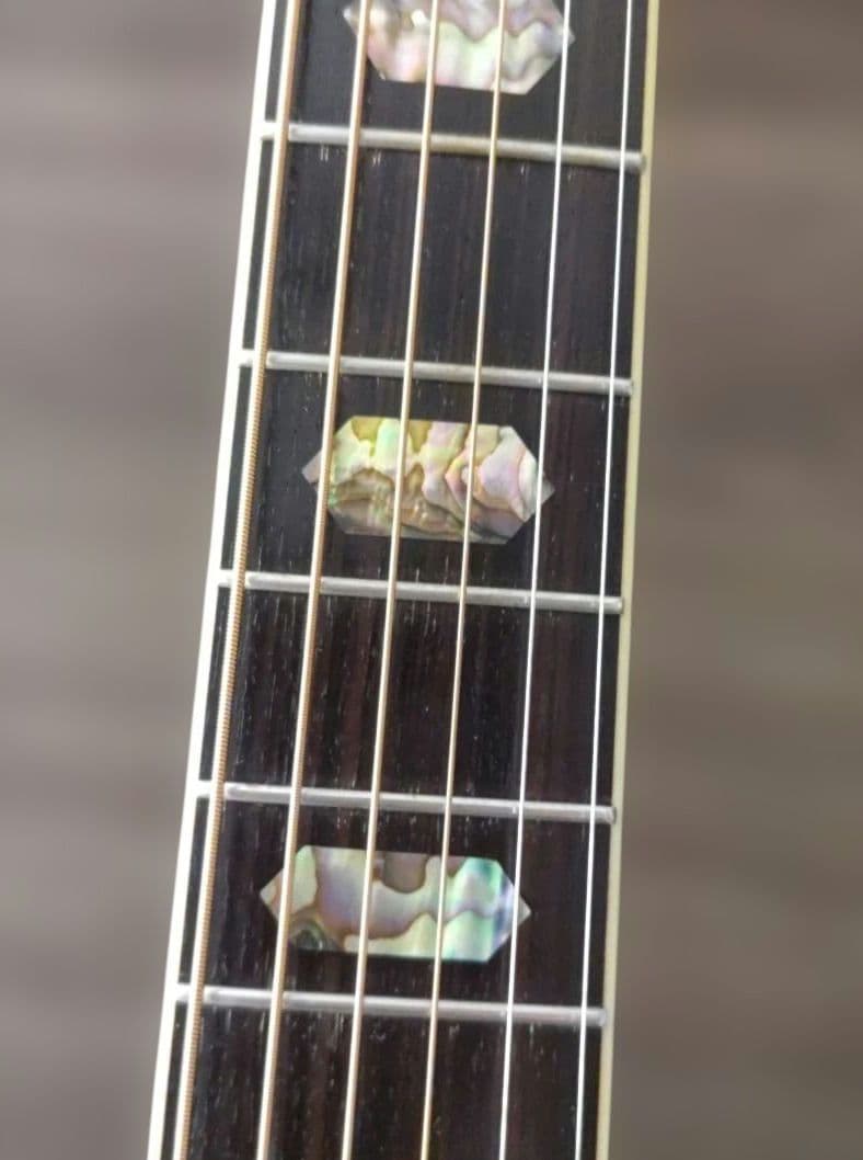 モーリスアコースティックギターTF-805