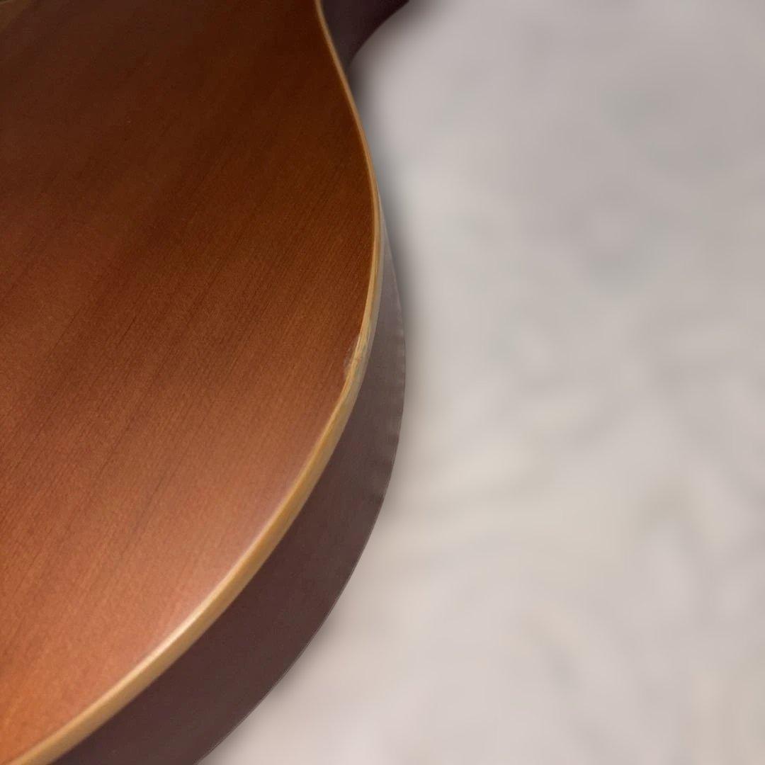 ESP Bambooinn-C アコースティックミニギター