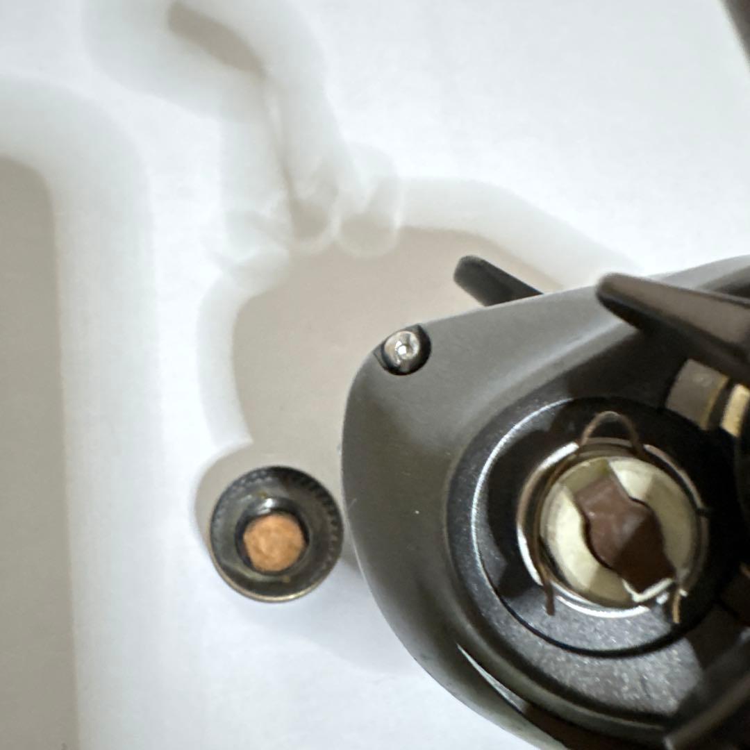 ダイワ スティーズ 100HL STEEZ 釣具　リール　ルアー