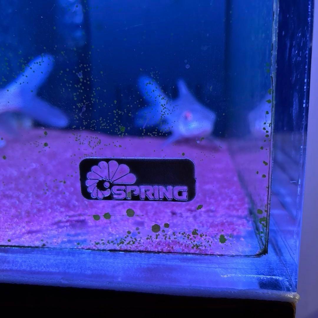 shunpi　水槽　水槽セット　1200 600 h500 神奈川　手渡し