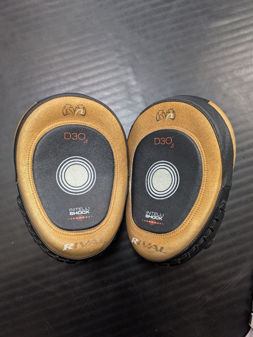 RIVAL D30 パンチングミット
