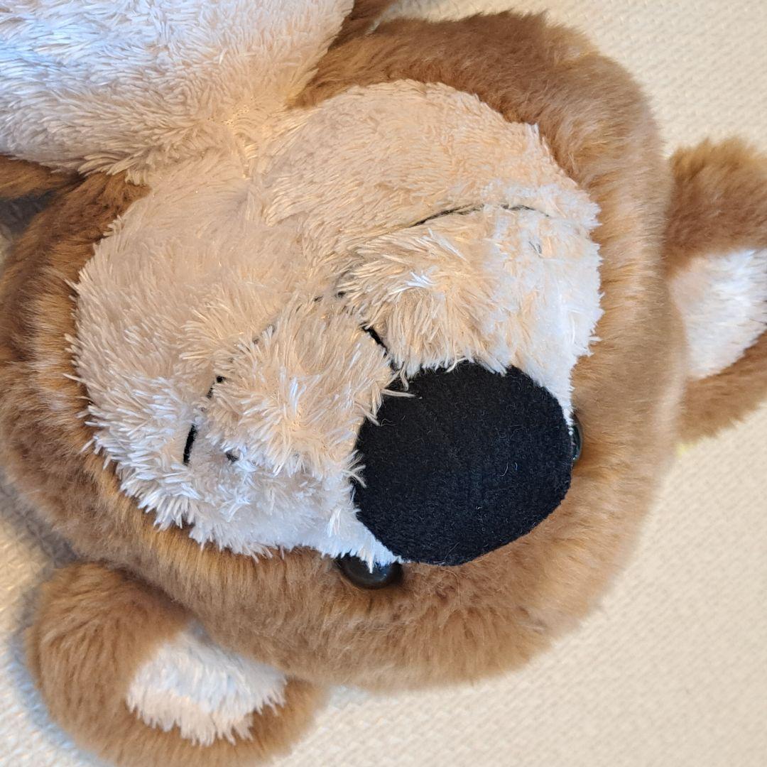 スージーズー　サンアロー　ハート　ぬいぐるみ2体セット　SunArrow　大きい