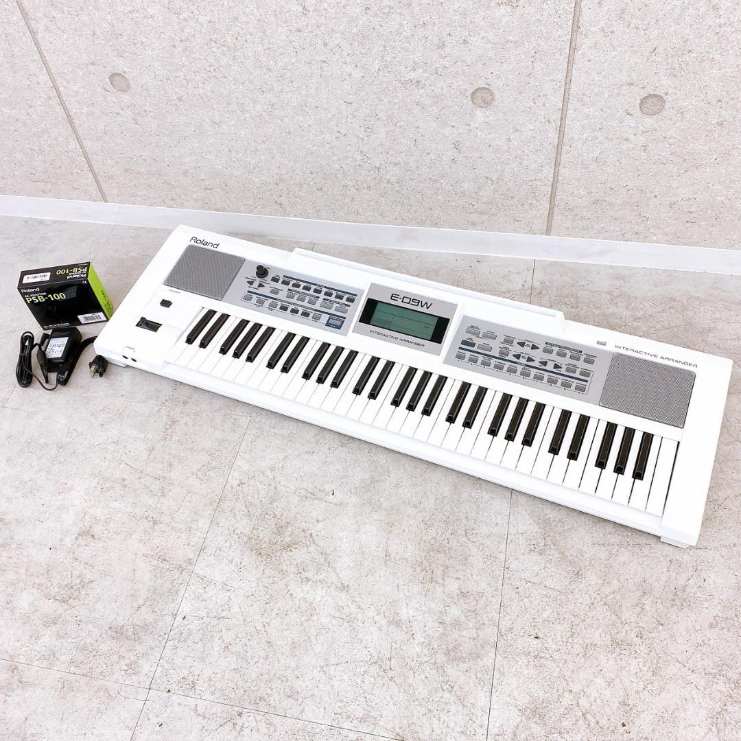 Roland ローランド 電子キーボード E-09W 61鍵 キーボード