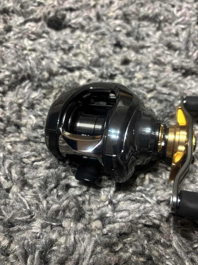 ☆ダイワ 24スティーズ SV TW 100 極美品☆