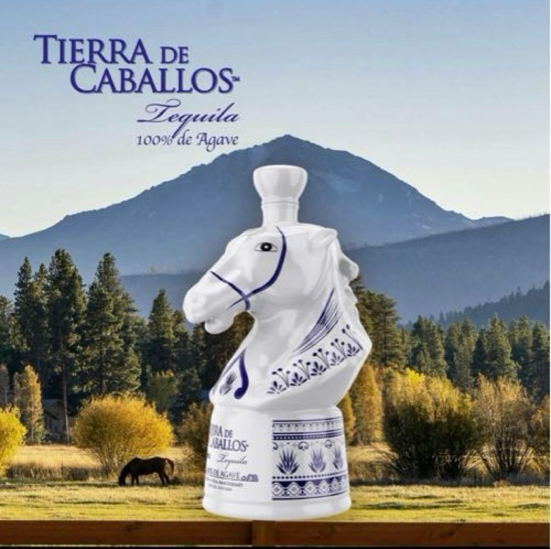 Tierra de Caballos Anejo Tequila テキーラ