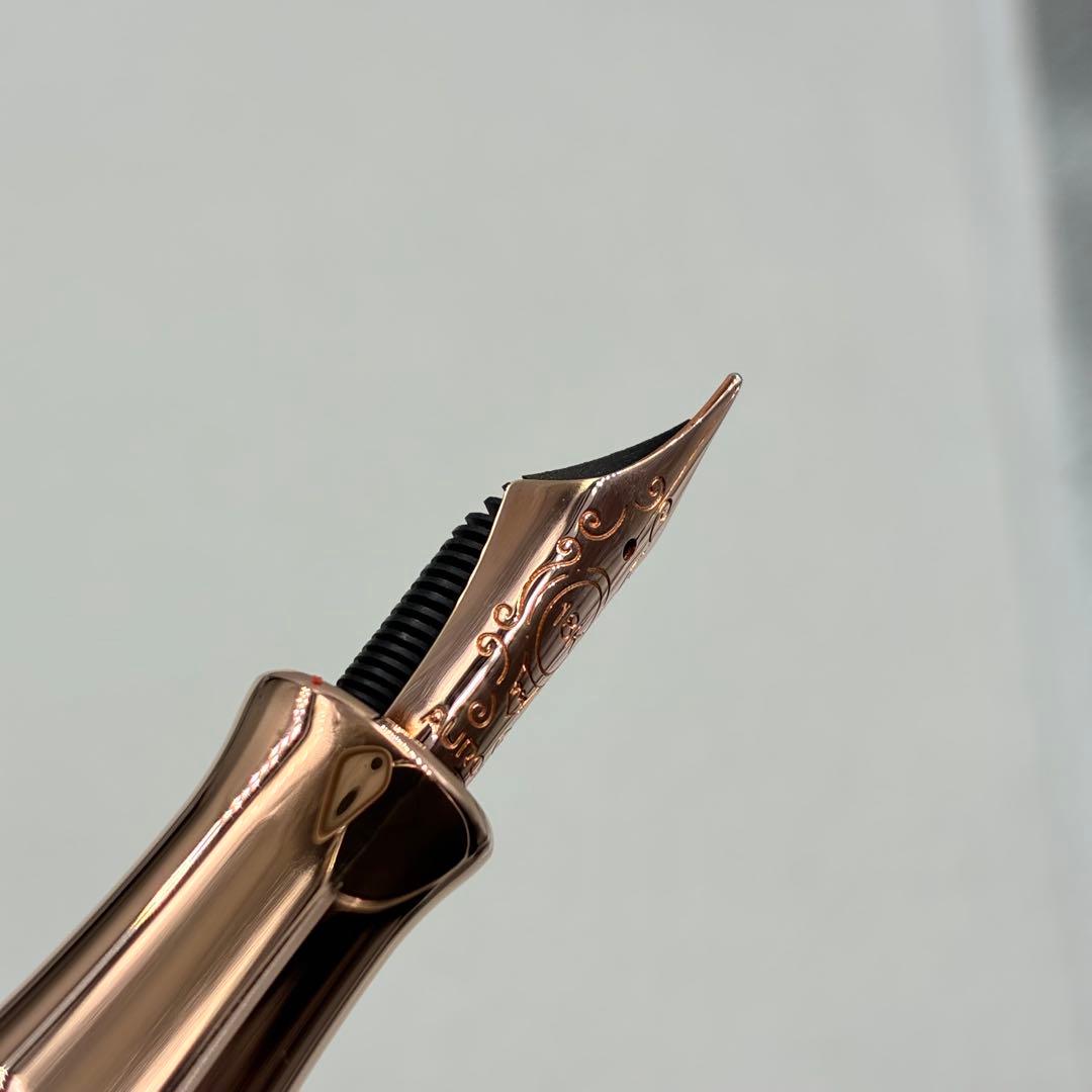 訳アリ AURORA アウロラ 万年筆 ダンテ・パラディソ 920-CPW