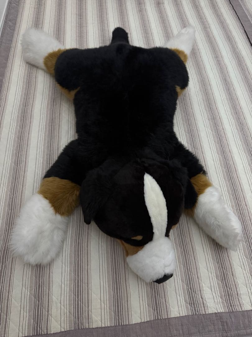 【希少】バーニーズマウンテンドッグ　乗れちゃう！特大わんちゃんぬいぐるみ【レア】