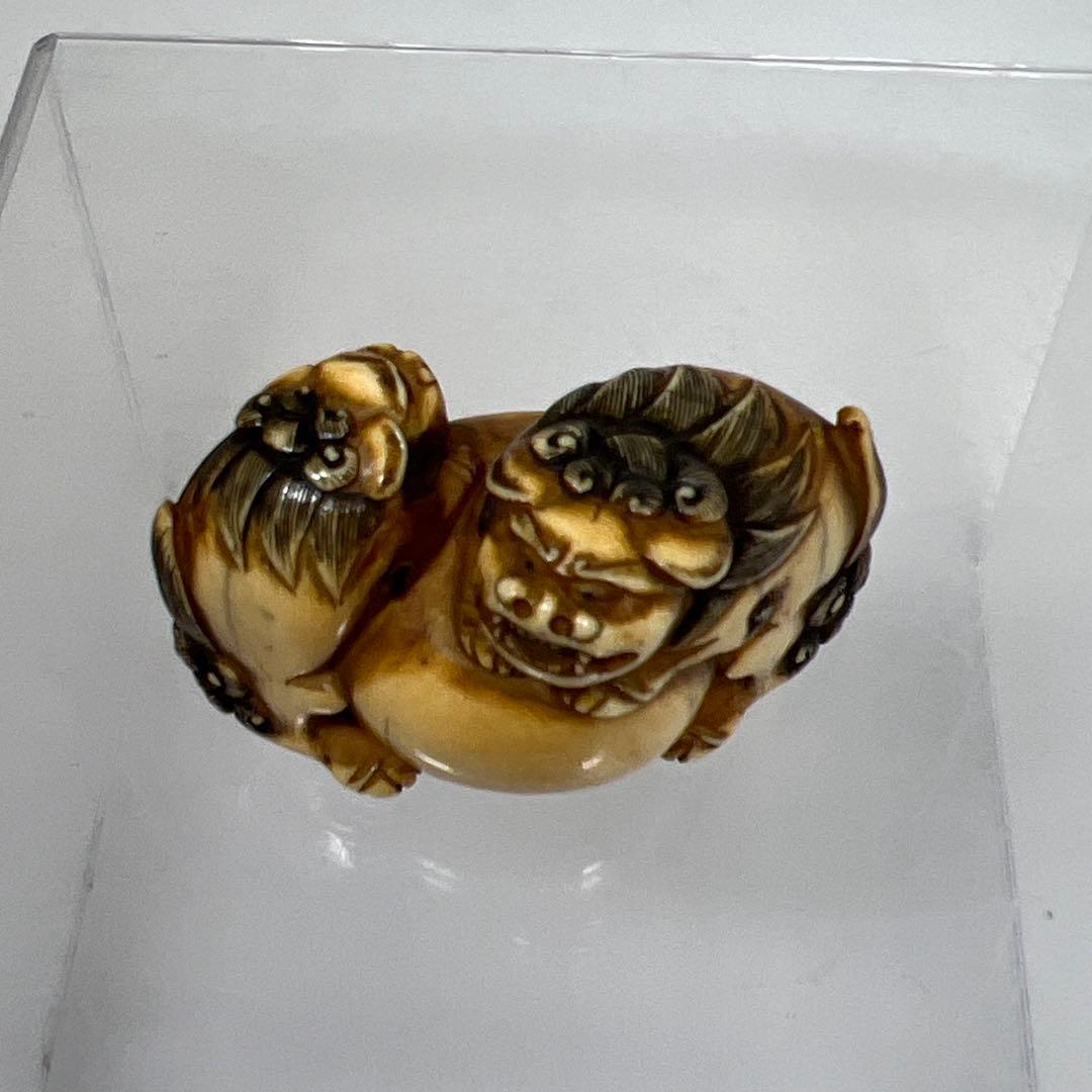 江戸時代　極上　獅子　根付　41g トニサト　東さ7-0923☆2F