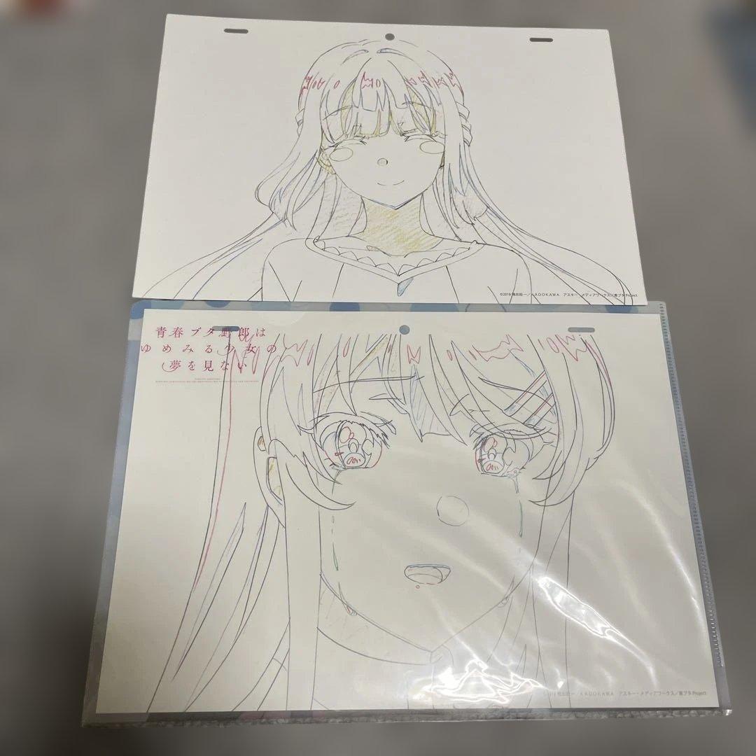 匿名配送　青春ブタ野郎シリーズ　複製原画セット　29枚