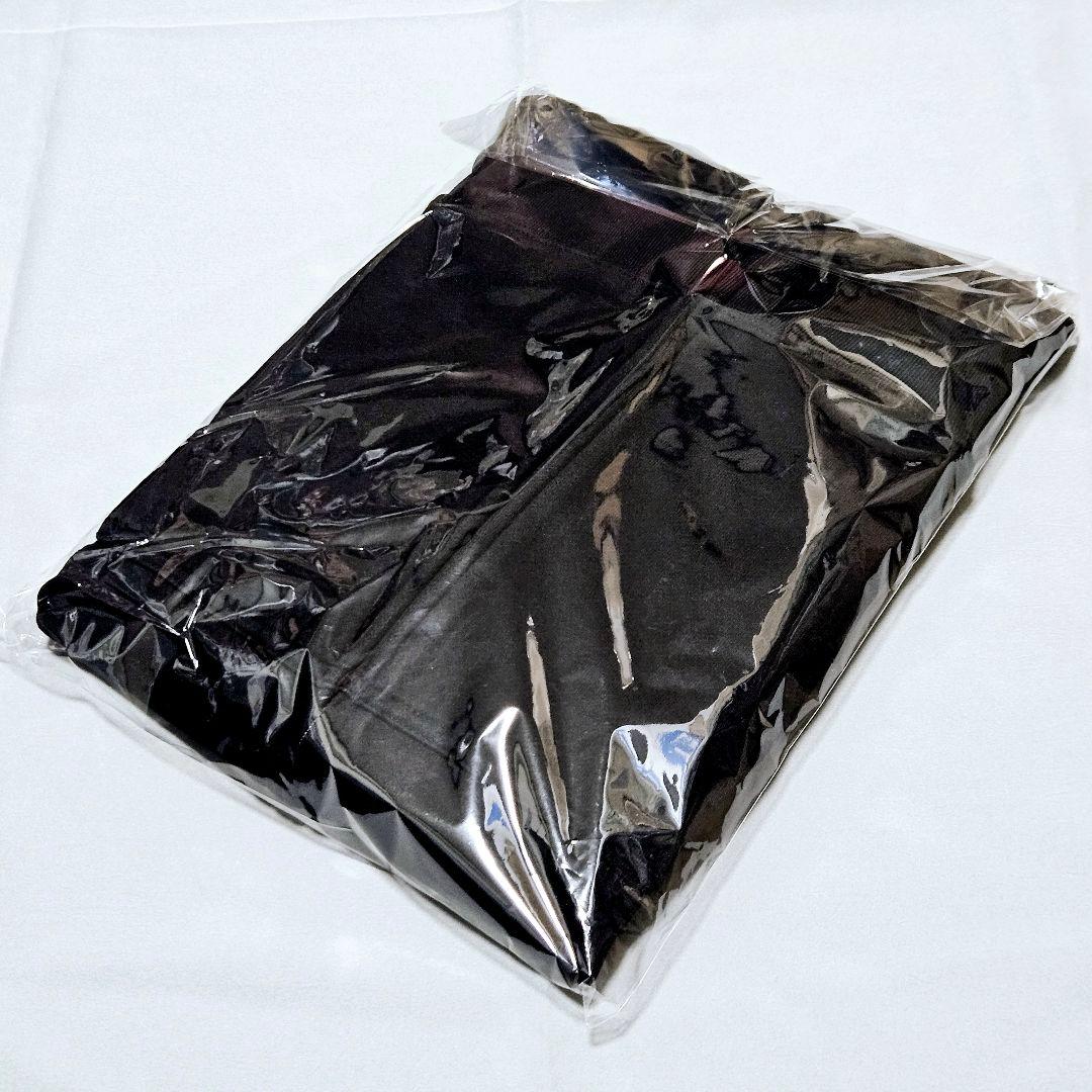 MICHAEL SCHENKER GROUP 2026ジャパンツアー パーカー