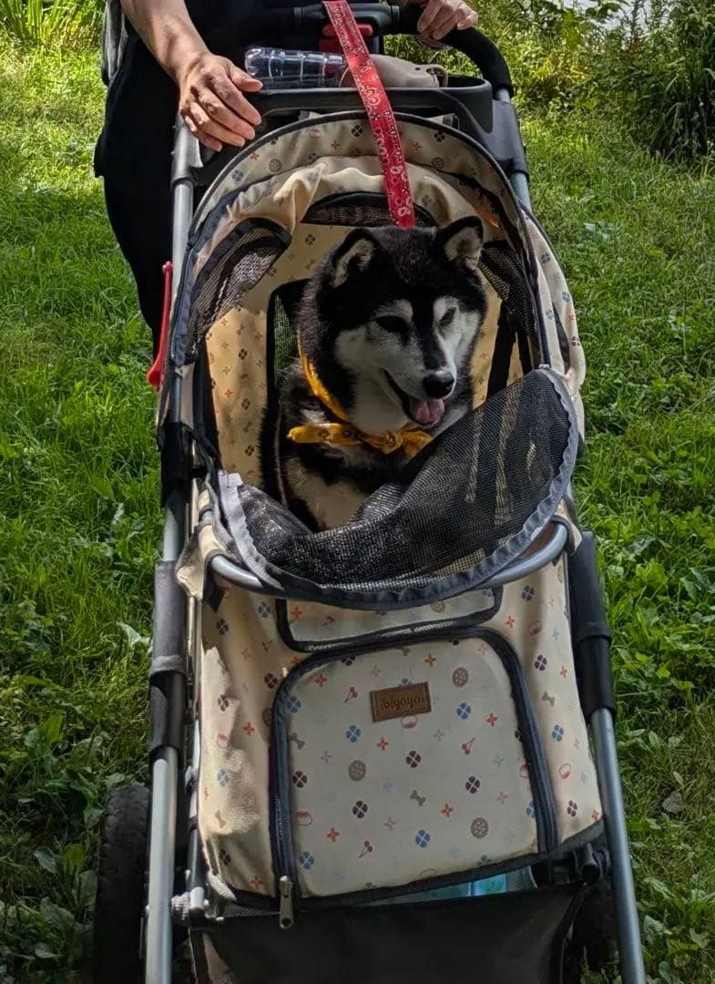 ペットカート メッシュカバー付き