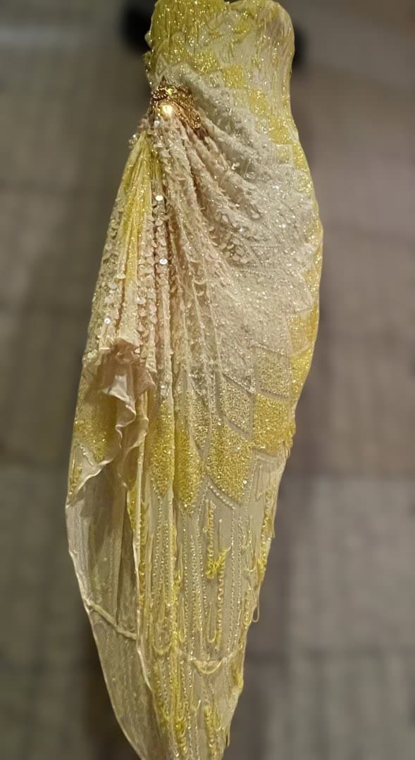 社交ダンス　ラテン　パーティードレス　デモ