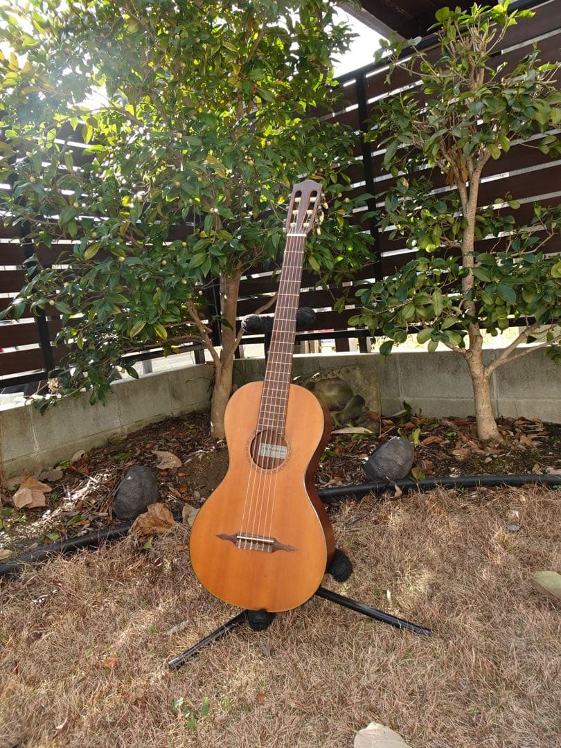 スピッツ「ハチミツ」ジャケットのギター 超レア！