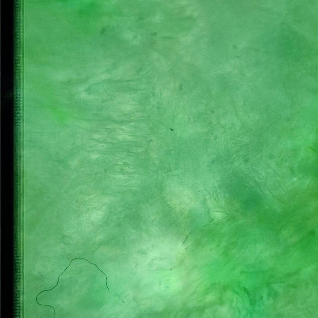 #【本翡翠】天然ジェダイト #鼻煙壺 #氷糯種 陽緑 透過良 結晶有 龍耳彫刻