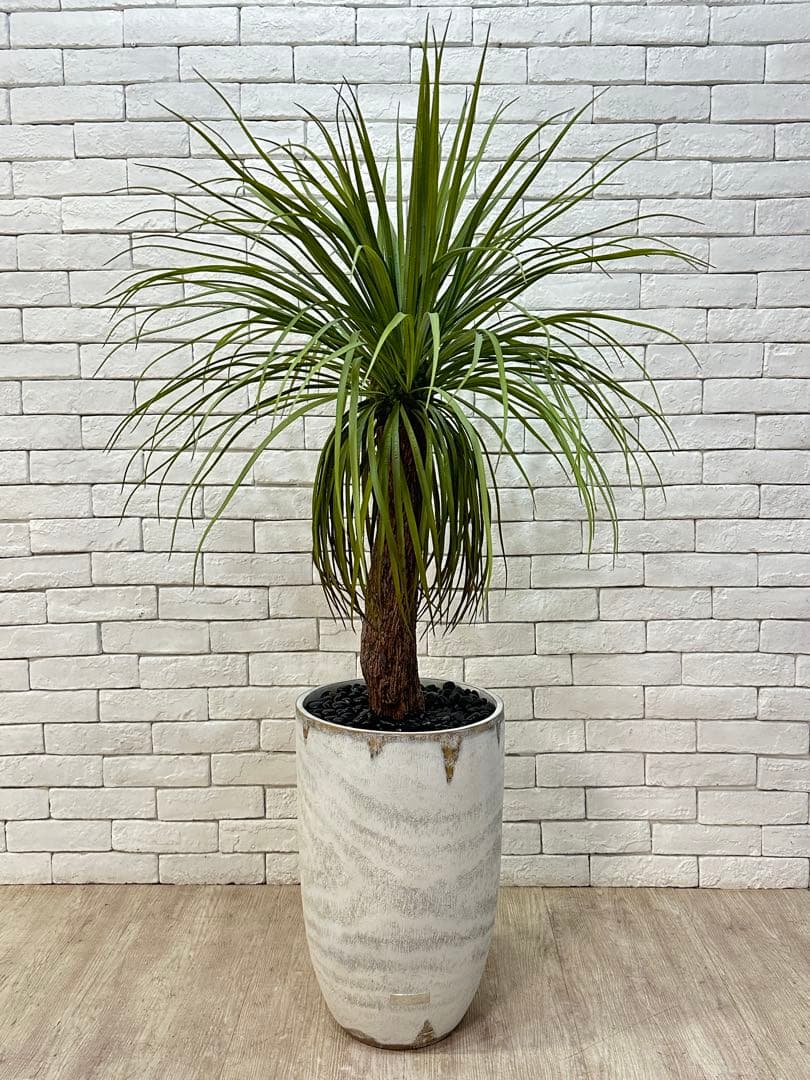 【東京23区配送無料】定価9万円　エミリオロバ　ユッカ　造花　観葉植物　高級　緑