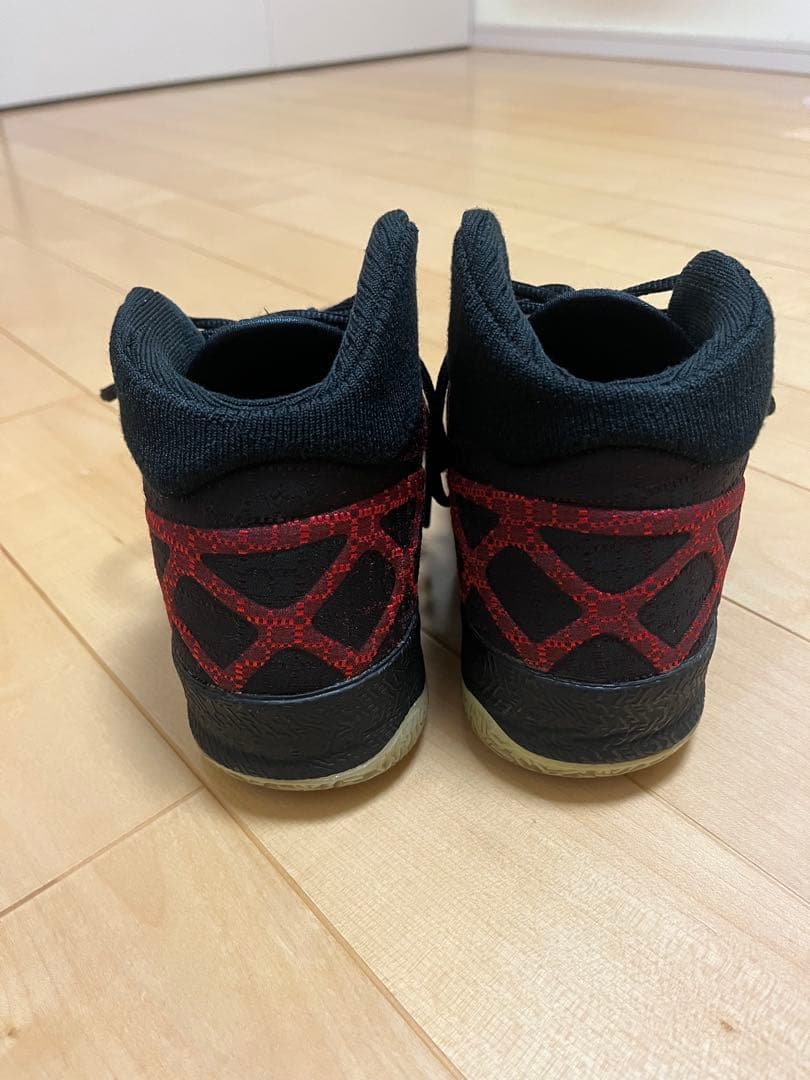 NIKE AIR JORDAN XXX（30） サイズ：29cm（US 11）