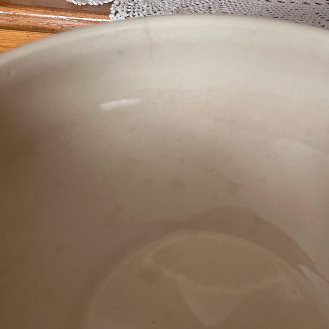 希少＊美品＊仏アンティーク サルグミンヌ favoriレギュミエ・スーピエール