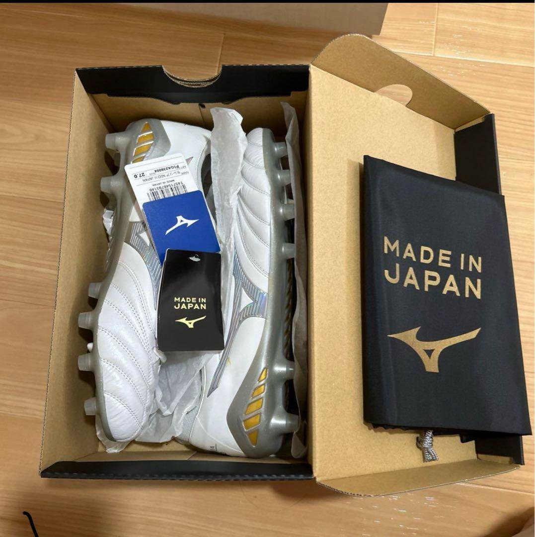 モレリア シャイニングカラー