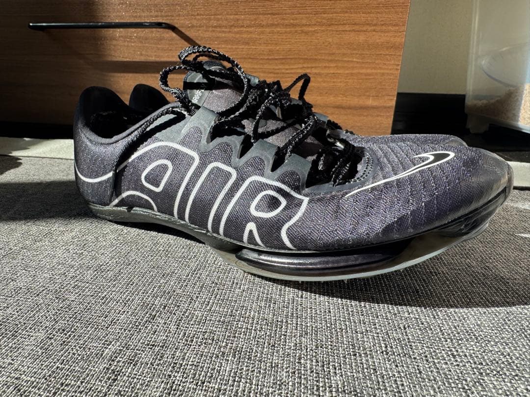 マックスフライ モアテン 25cm 袋付き 値下げ可