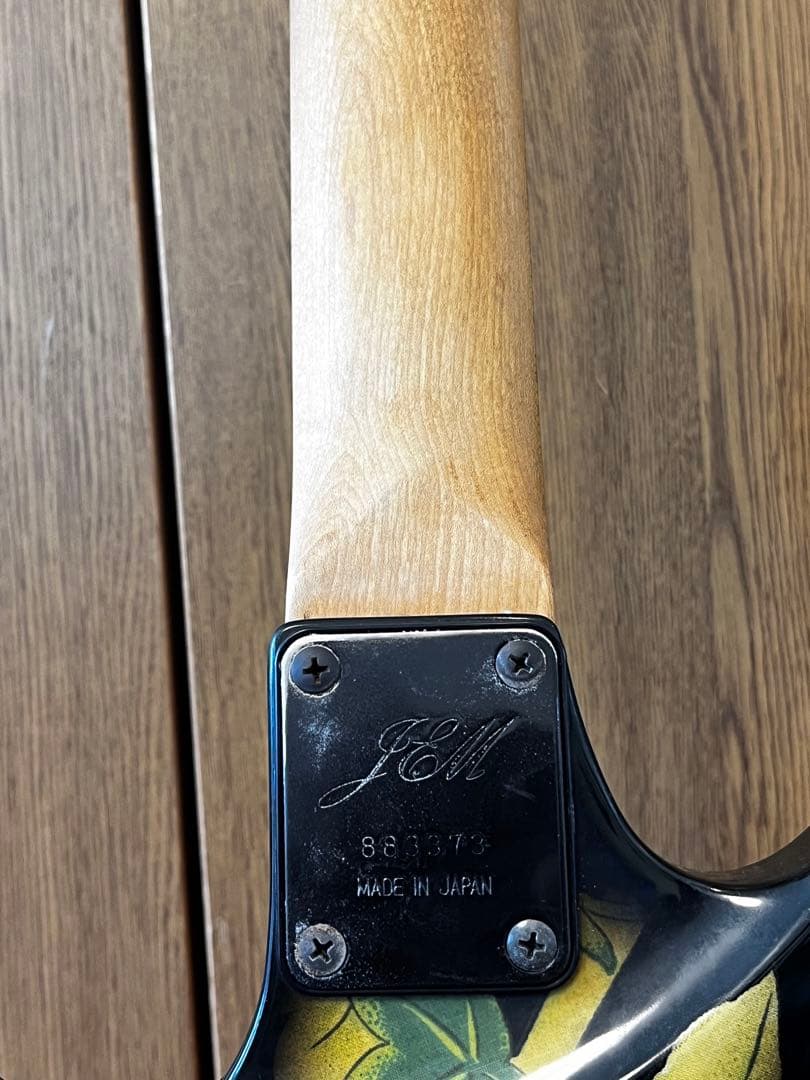 Ibanez JEM77 Floral Pattern初期スティーヴヴァイモデル