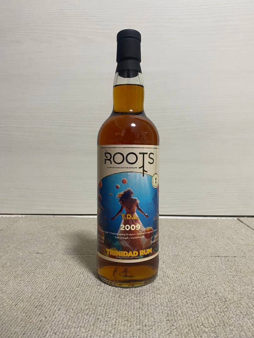 乾杯会　トリニダードラム　T.D.L 2009-2025 14年