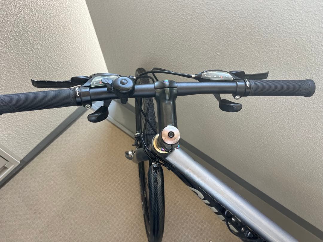 GIANT クロスバイク ESCAPE R3 カスタマイズ　S