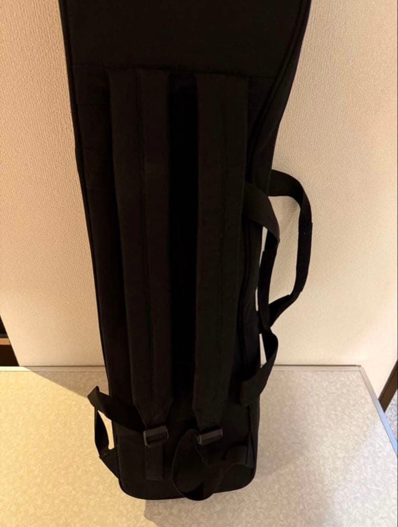 三線（蛇皮＋人工皮）、ケース付き