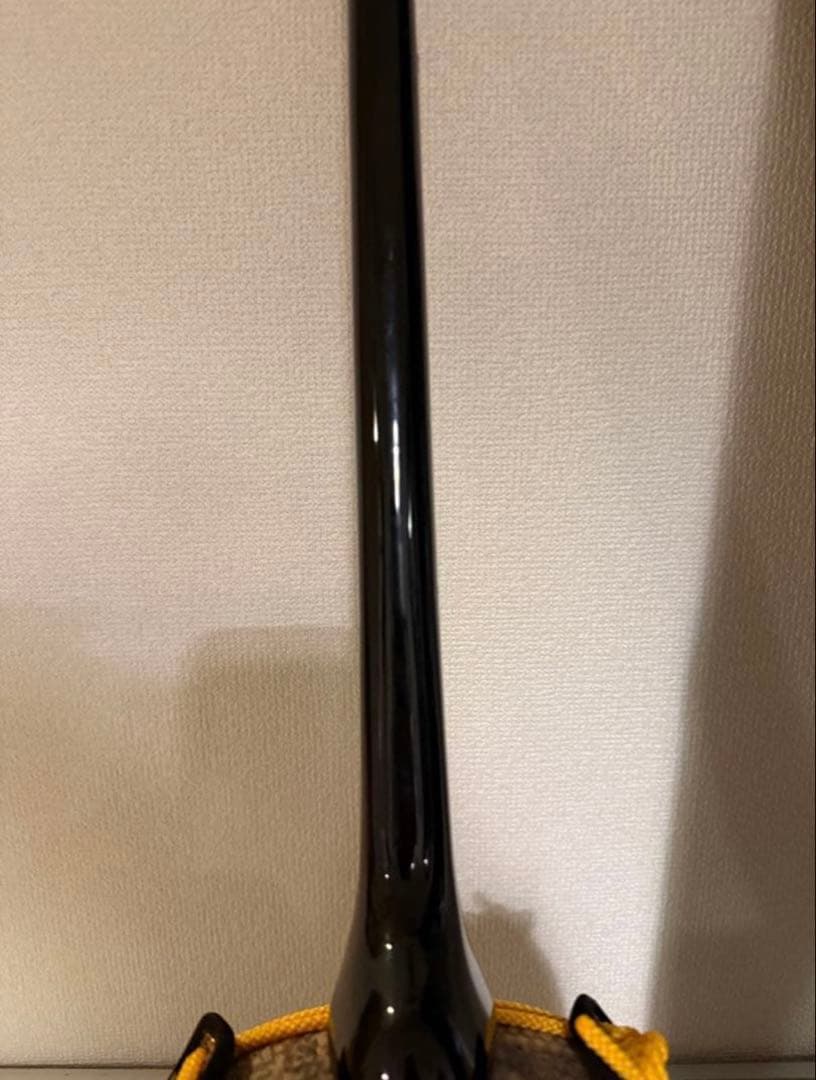 三線（蛇皮＋人工皮）、ケース付き