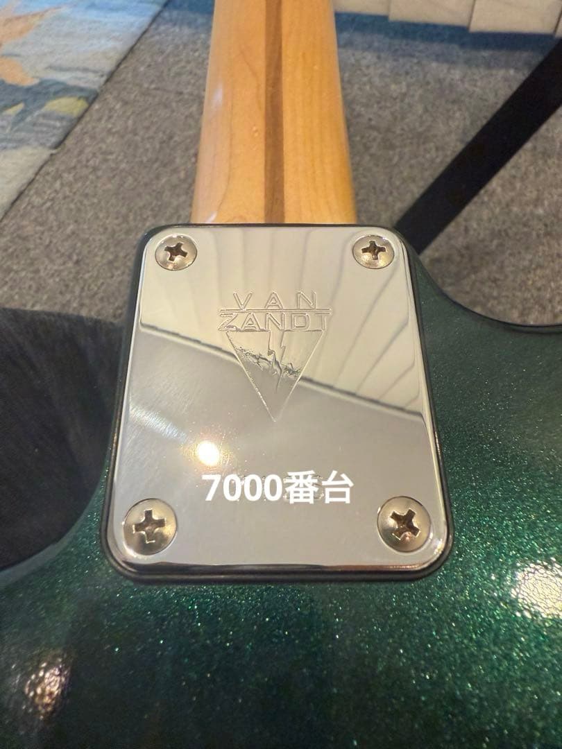 ギター Vanzandt STV-R1