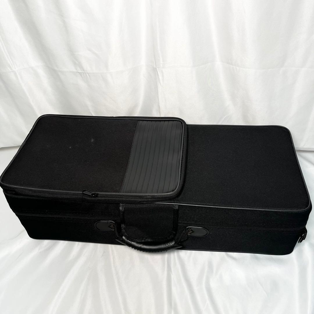 CARINA アルトサックス ケース付