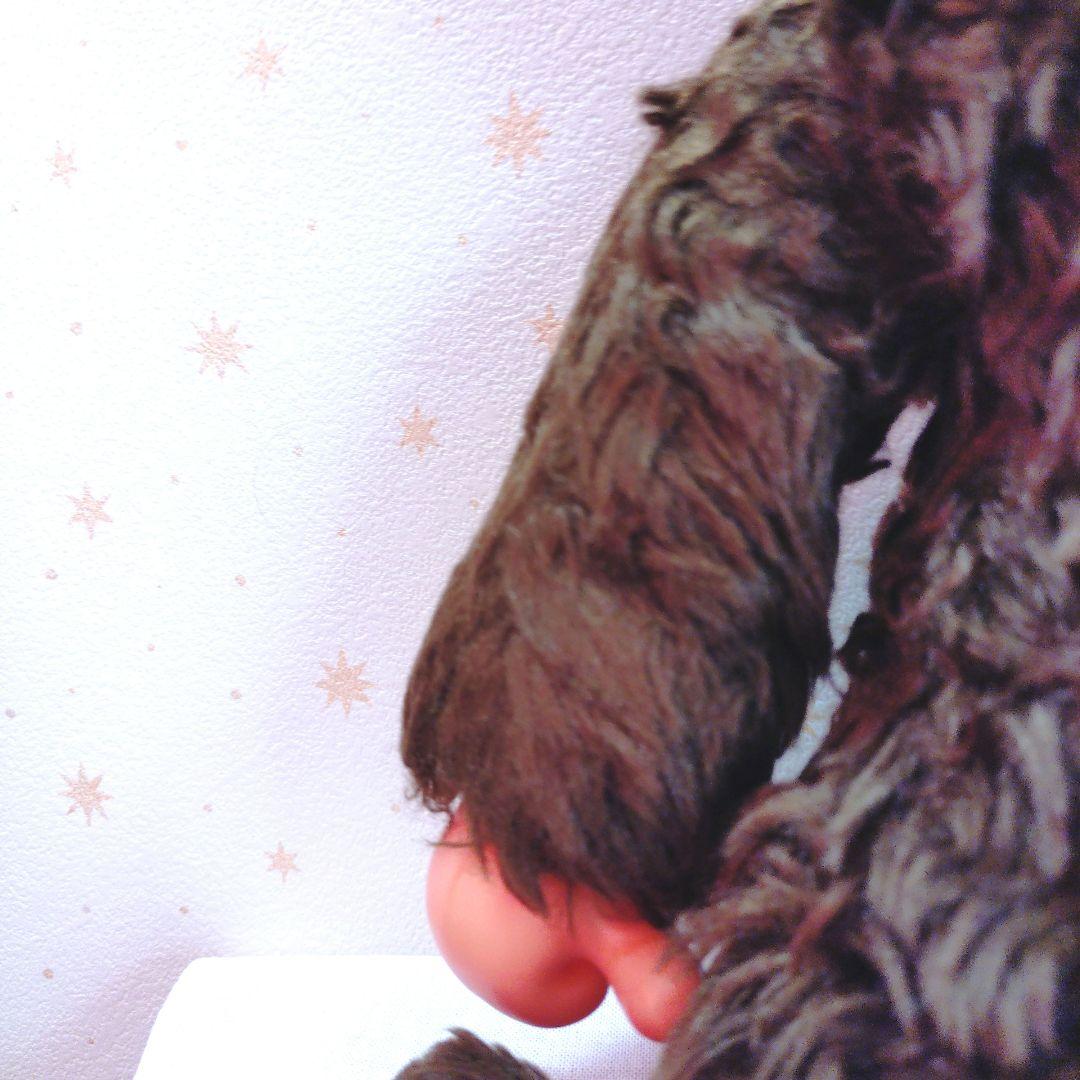 昭和モンチッチ ぬいぐるみLサイズ