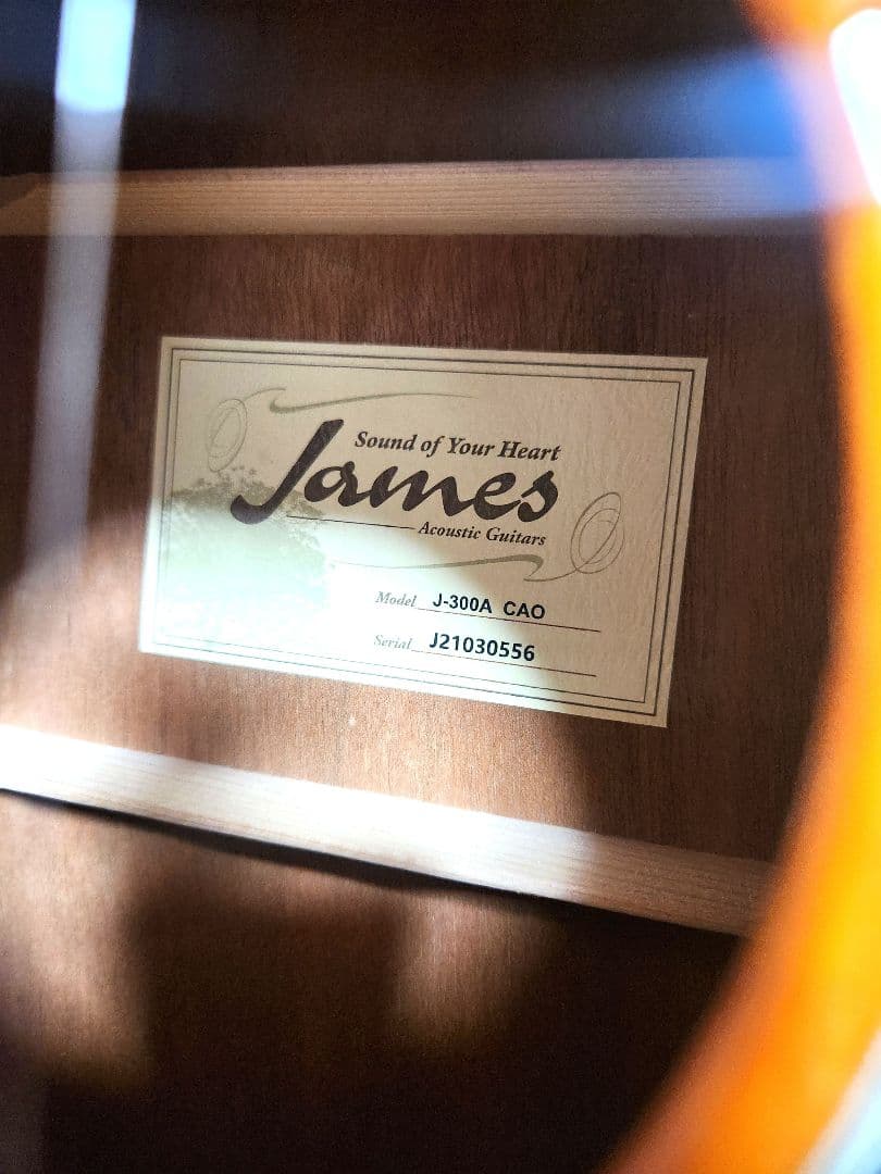 James J-300A CAO アコースティックギター　イシバシ楽器