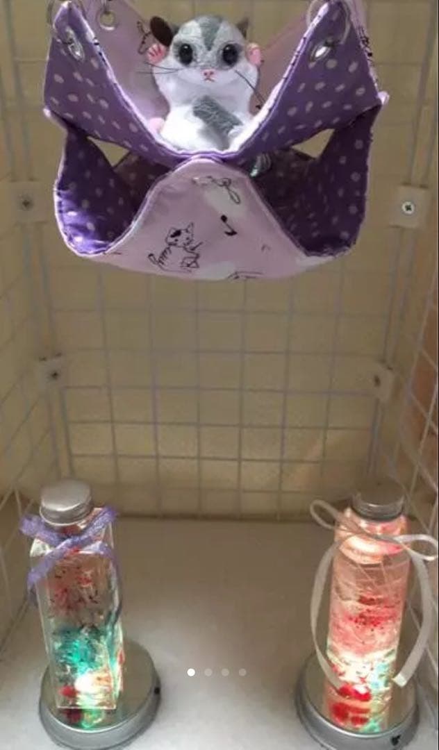 モモンガハウス(猫・音楽)ドット紫  春(夏)秋仕様  1900円