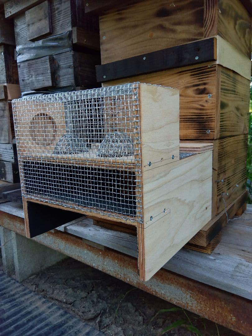 スズメバチ捕獲器 3個売り スズメバチキャッチ