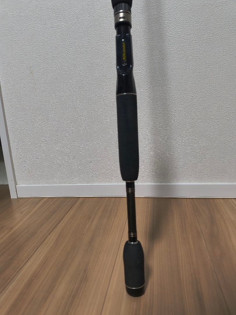 テンリュウ シェスタ BC68MH TENRYU Shasta バス