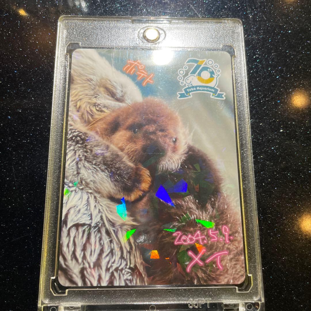 ※値段交渉可　☆鳥羽水族館☆メイ、ポテトとジュゴンのホログラムカード2枚セット