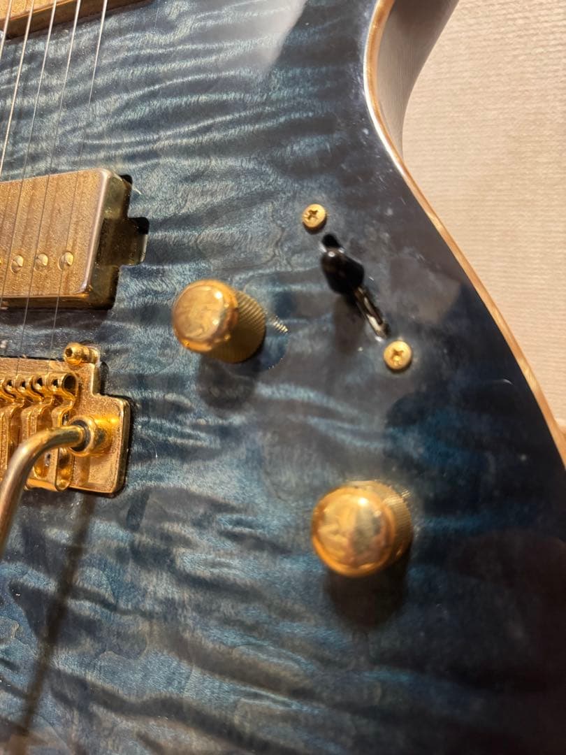 Sugi guitars DS496 IR オリジナルセミハード付き