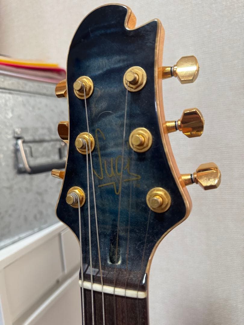 Sugi guitars DS496 IR オリジナルセミハード付き