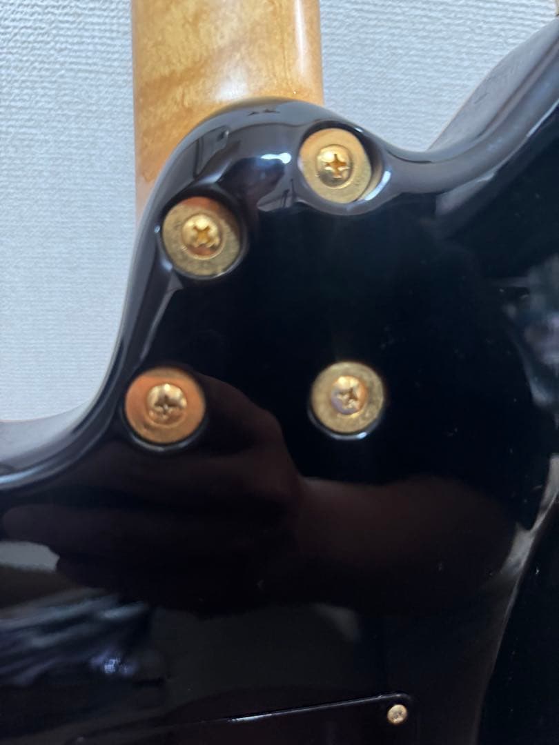 Sugi guitars DS496 IR オリジナルセミハード付き