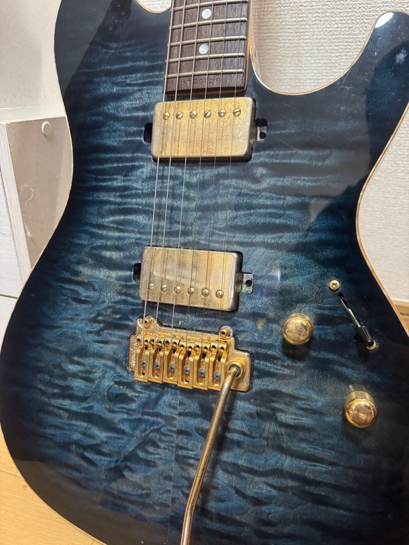 Sugi guitars DS496 IR オリジナルセミハード付き