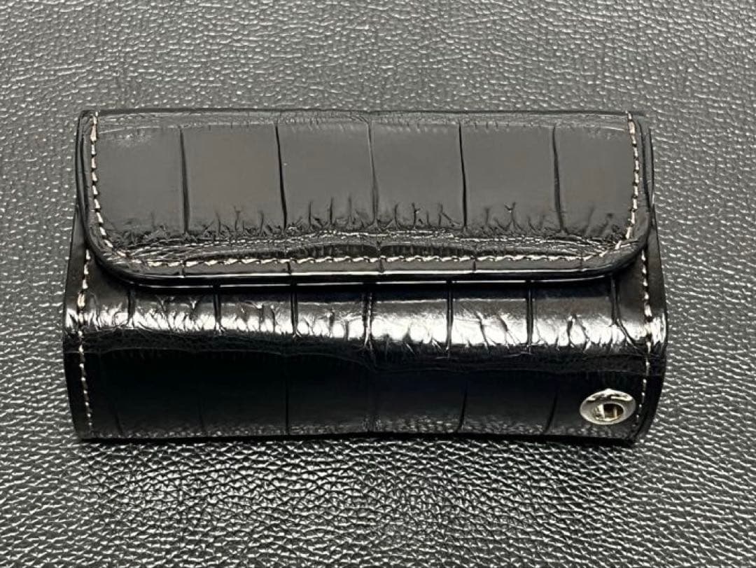 【ichikawa.1108a】ワイルドスワンズ　ダカール クロコダイル