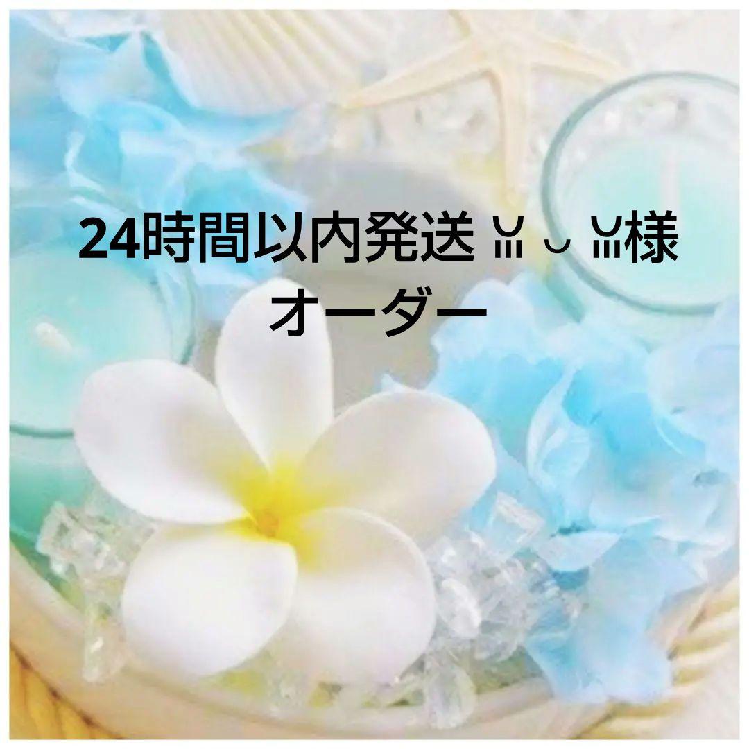 オーダー★　レジン猫チャーム　猫キーホルダー　まねき猫　ぐで猫　ミニチュアフード