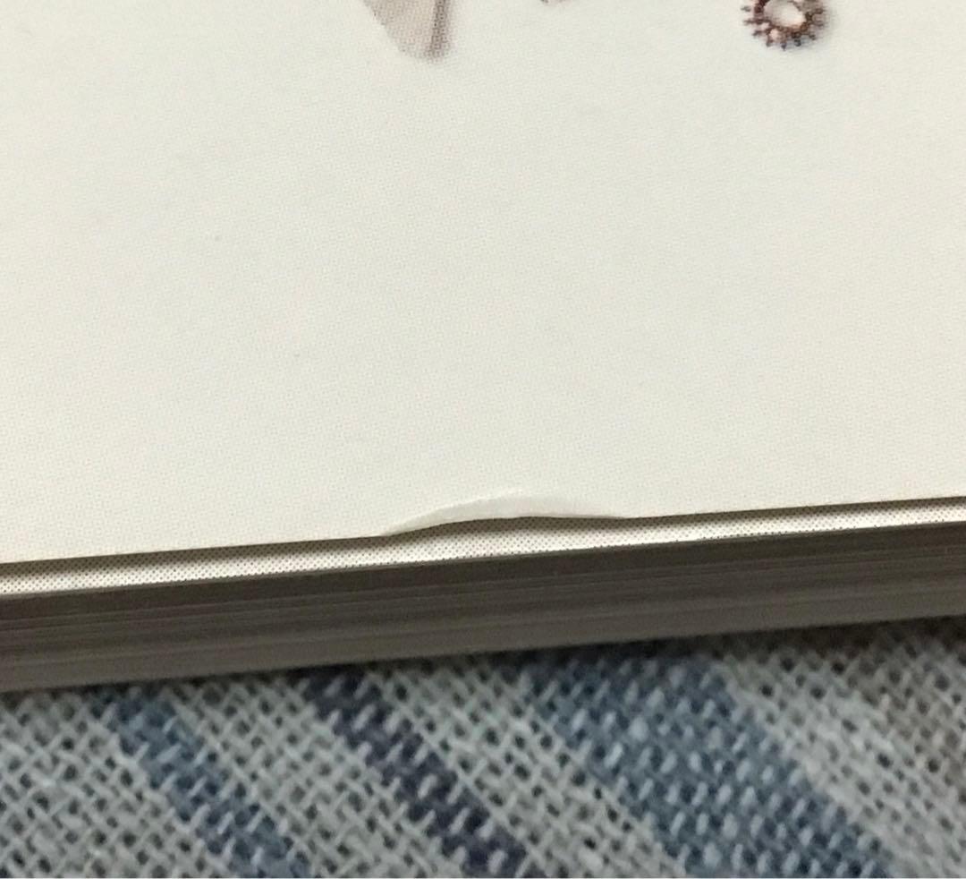 DAYTONA MANIA\"ZENITH MOVEMENT\" デイトナ